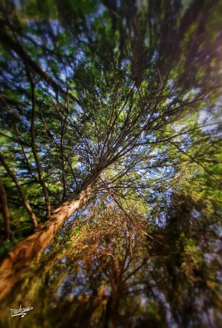 Otoño en la ciudad de Valladolid