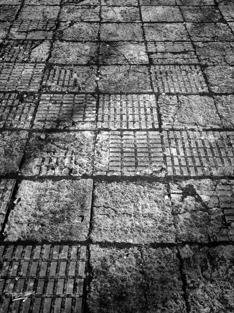 Abandonos en Valladolid