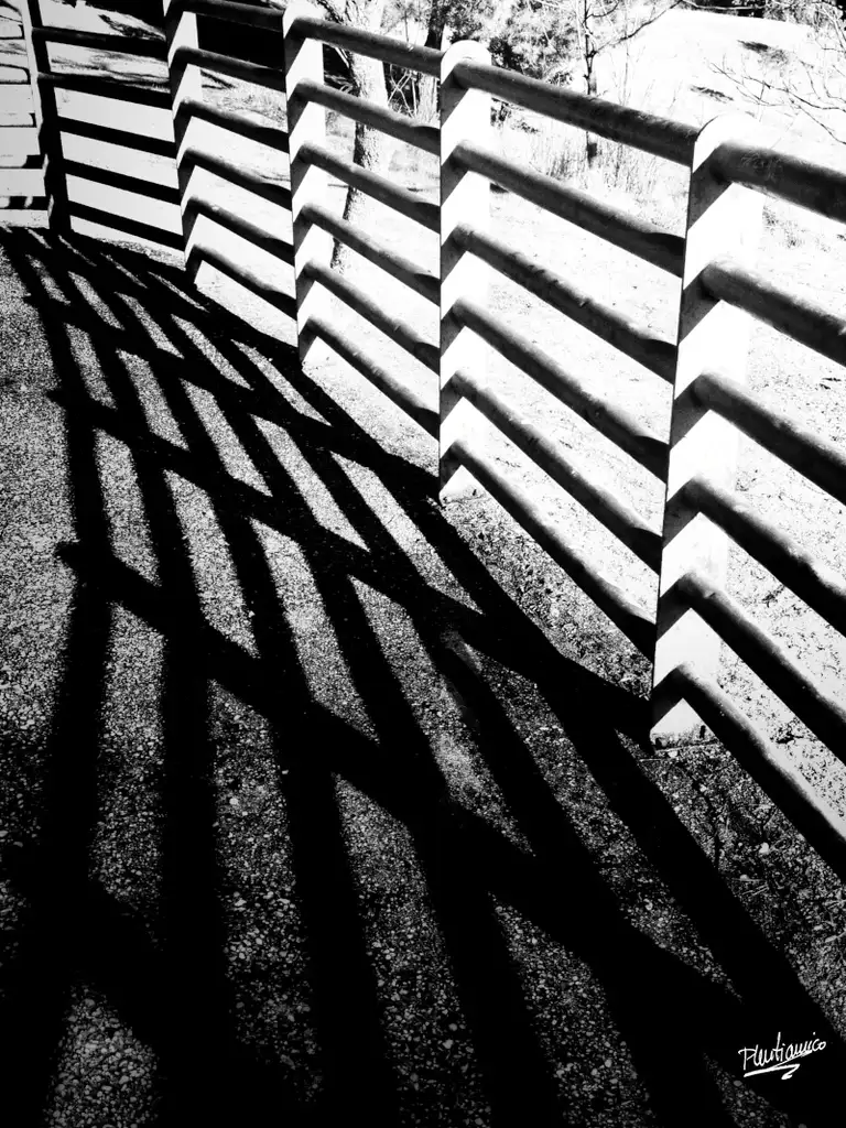 Líneas en blanco y negro