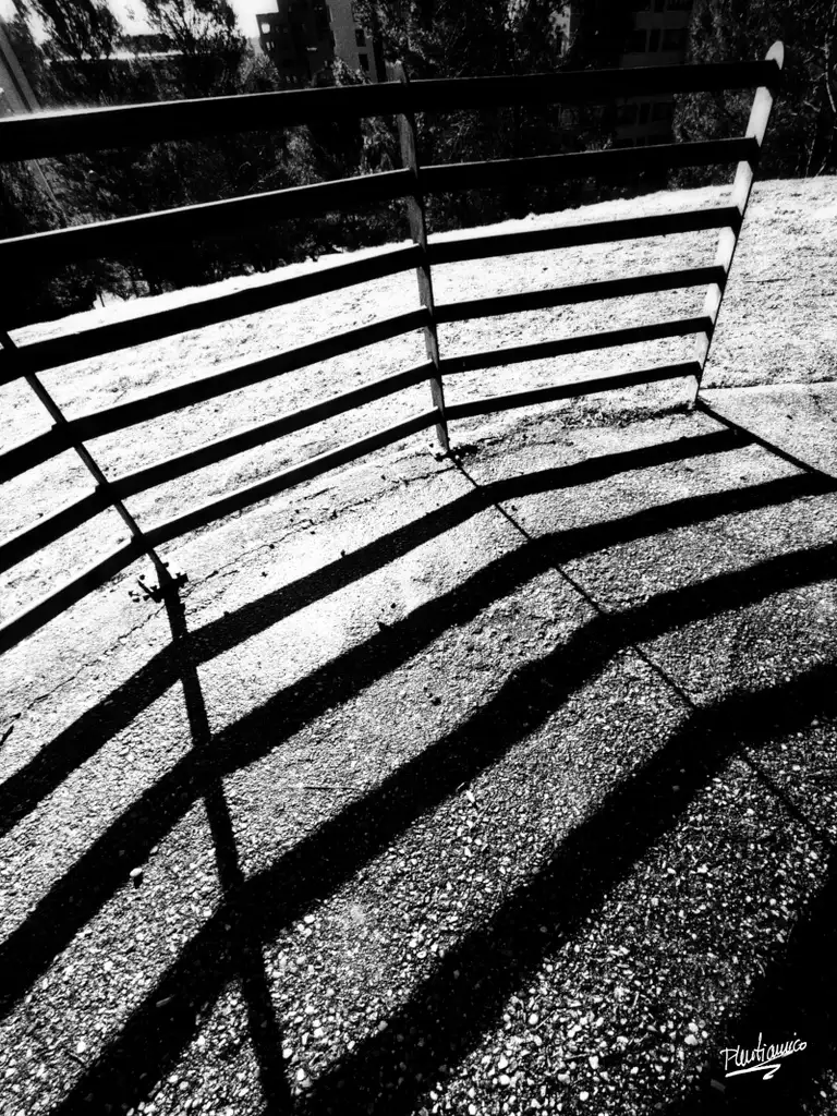 Líneas en blanco y negro